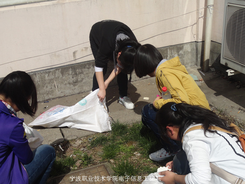 图为：志愿们为敬老院捡垃圾