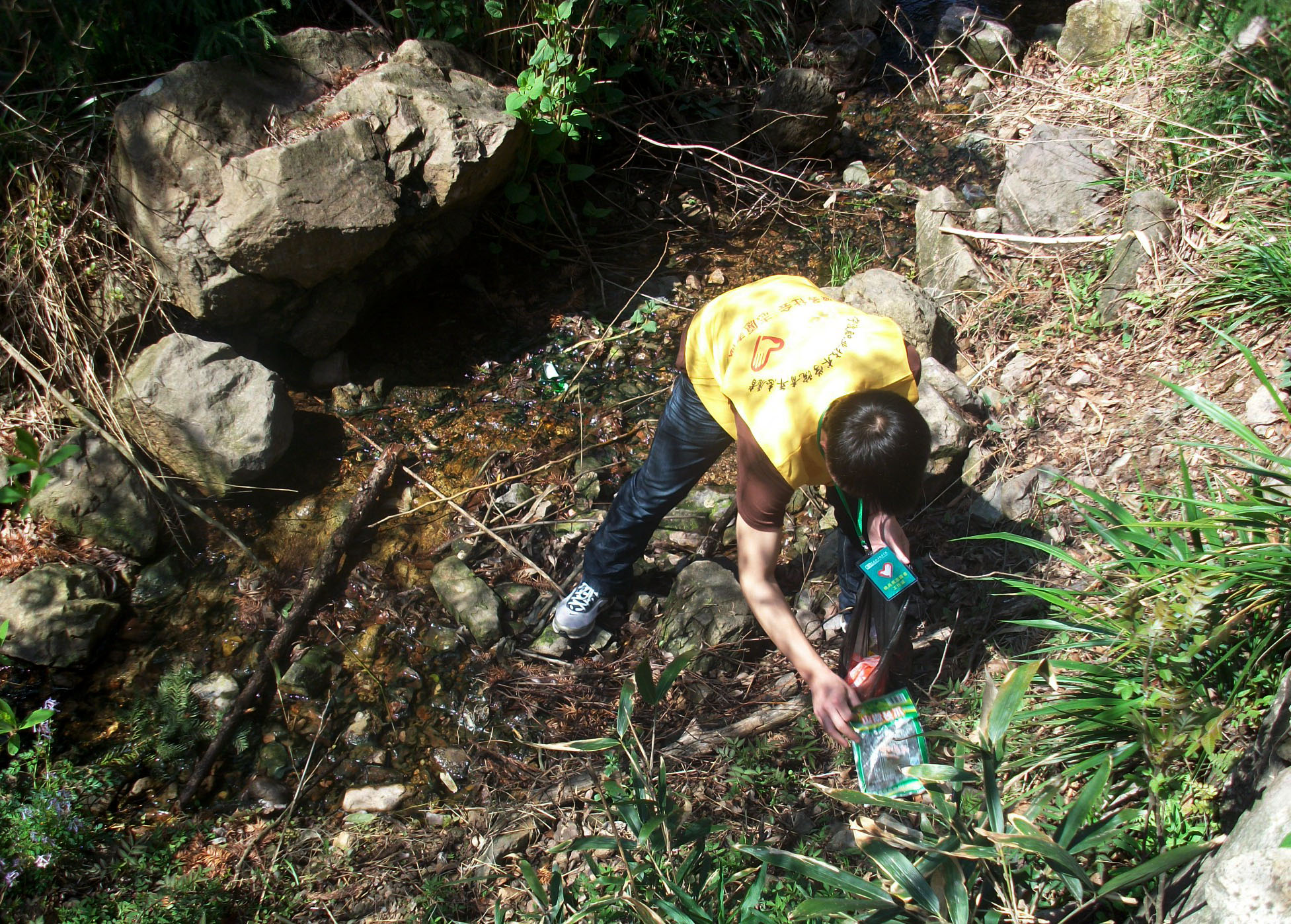 图为：志愿者在行动